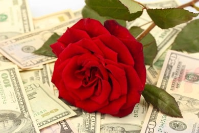Concept of love and money